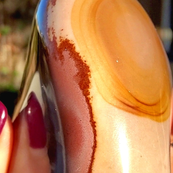 Stunning Rare Daliesque Polychrome Jasper Free Form - Picture 9 of 13